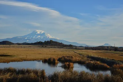 DSC_6000 (Large).JPG